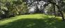 Daly Gardens - Northeast Corner