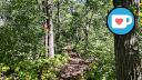 Beauchemin Park - Forest Trail - Facing East