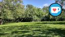 Beauchemin Park - Treeline - NW Clearing - Facing East