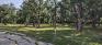 Westdale Recreation Site - Forested Nook