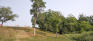 Omand Park - Open Area