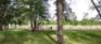 Crescent Drive Park - Playground