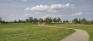 Scurfield Park - Athletic Fields