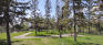 Scurfield Park - Hilltop - Pathways