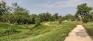 Happyland Park - Path to Playground
