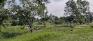 Happyland Park - Southwest Corner