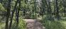 Bois-des-esprits - Trails - Diverge