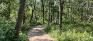 Bois-des-esprits - Trails