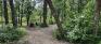 Bois-des-esprits - Wood Carvings - Clearing