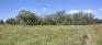 Living Prairie Museum - Homestead