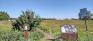 Living Prairie Museum - Self-Guided Trail - Start