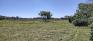 Living Prairie Museum - Self-Guided Trail