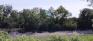 Bourkevale Park - Assiniboine River