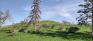 Westview Park - South Side