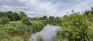 Sturgeon Creek Parkway - Ness - Sturgeon Creek
