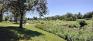 Sturgeon Creek Parkway - Ness - Pathways at Footbridge